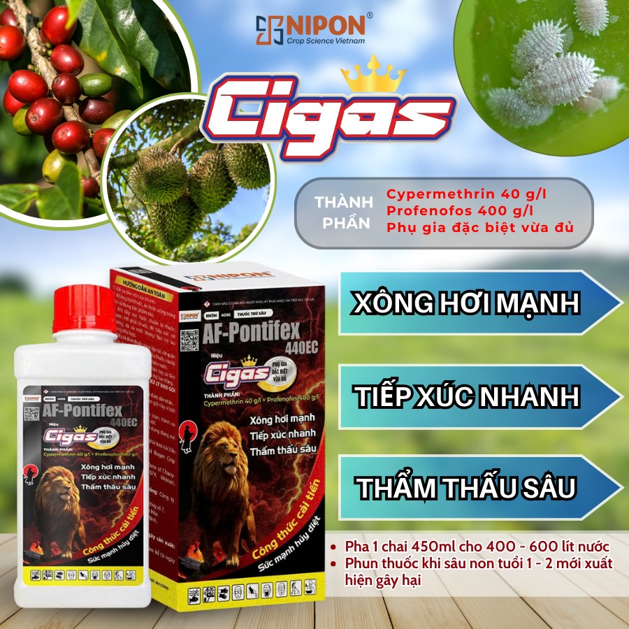 CIGAS 450ML