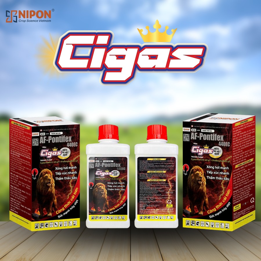 CIGAS 450ML