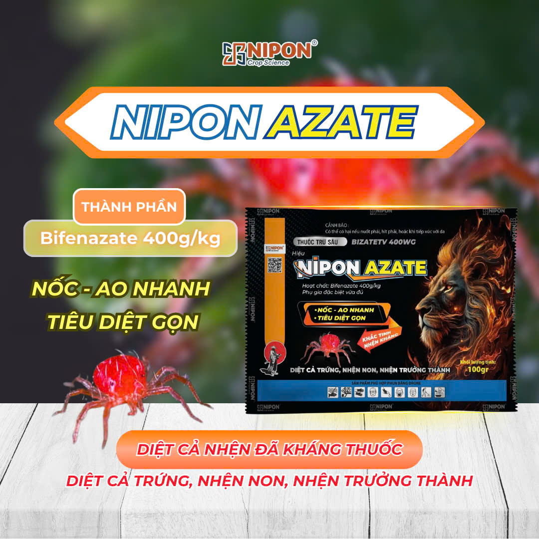 NIPON AZATE