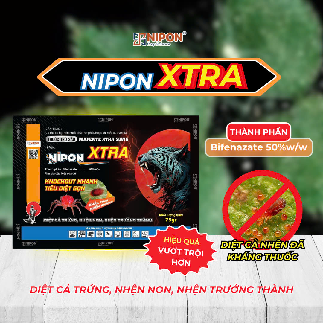 NIPON XTRA