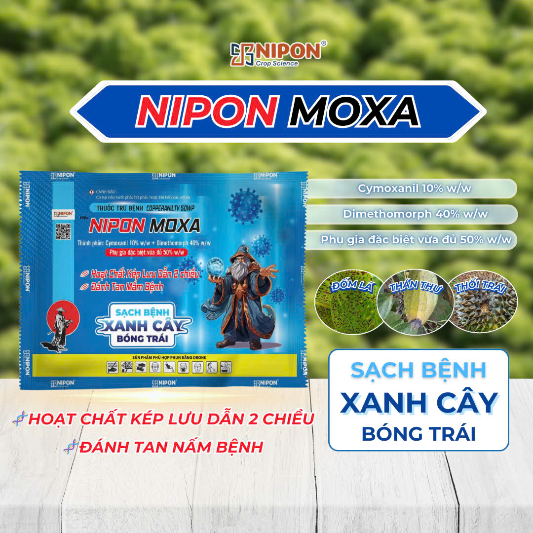 NIPON MOXA