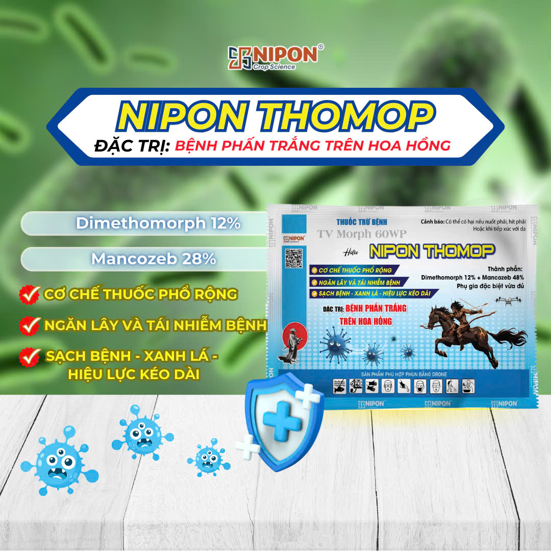 NIPON THOMOP