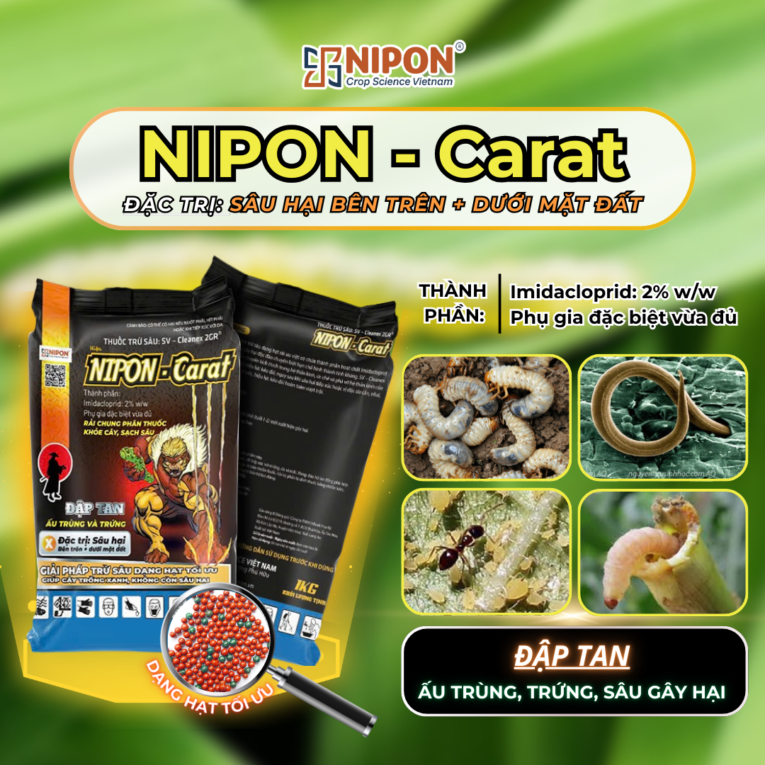 NIPON-CARAT