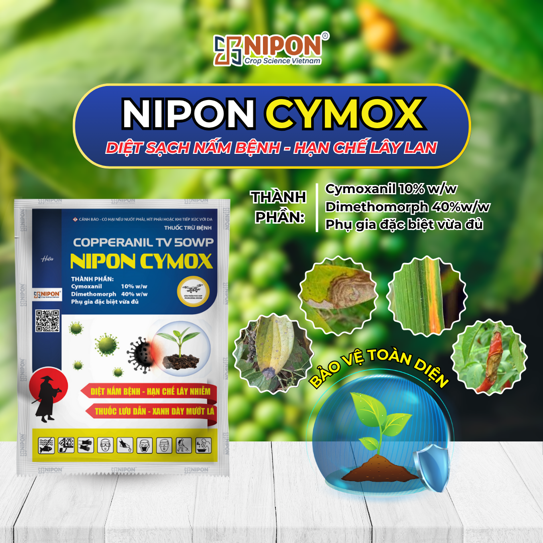 NIPON CYMOX