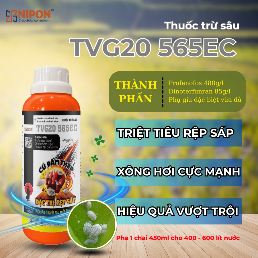 NIPON - SIÊU RỆP