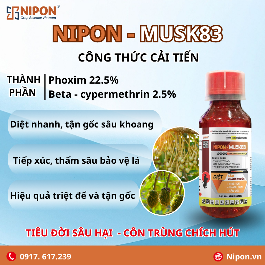 NIPON (B&agrave;i đăng Facebook) (72)