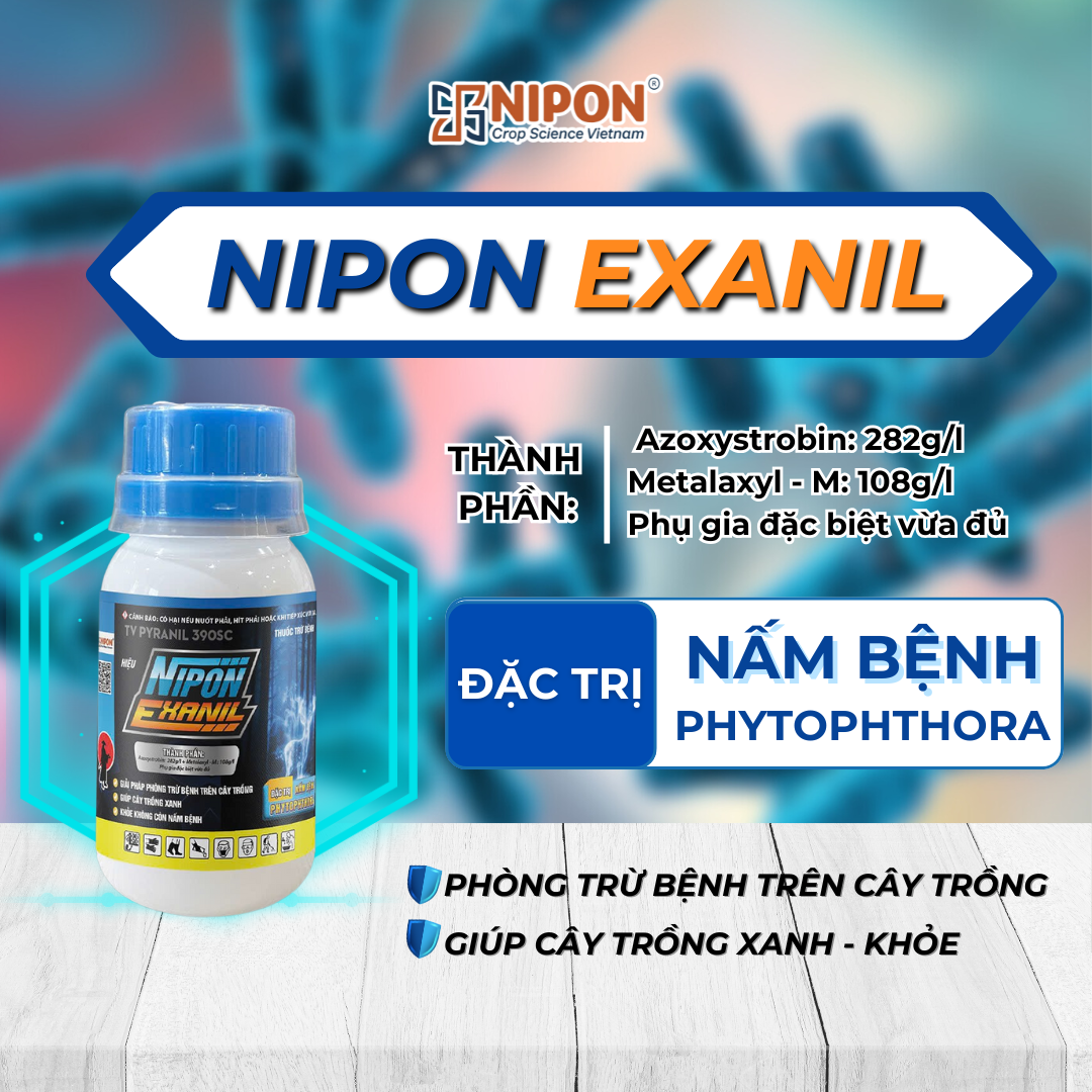 NIPON EXANIL